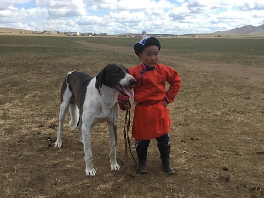 Die Mensch-Hund-Beziehung schauten sich die Forschenden in sechs verschiedenen Ländern an. 