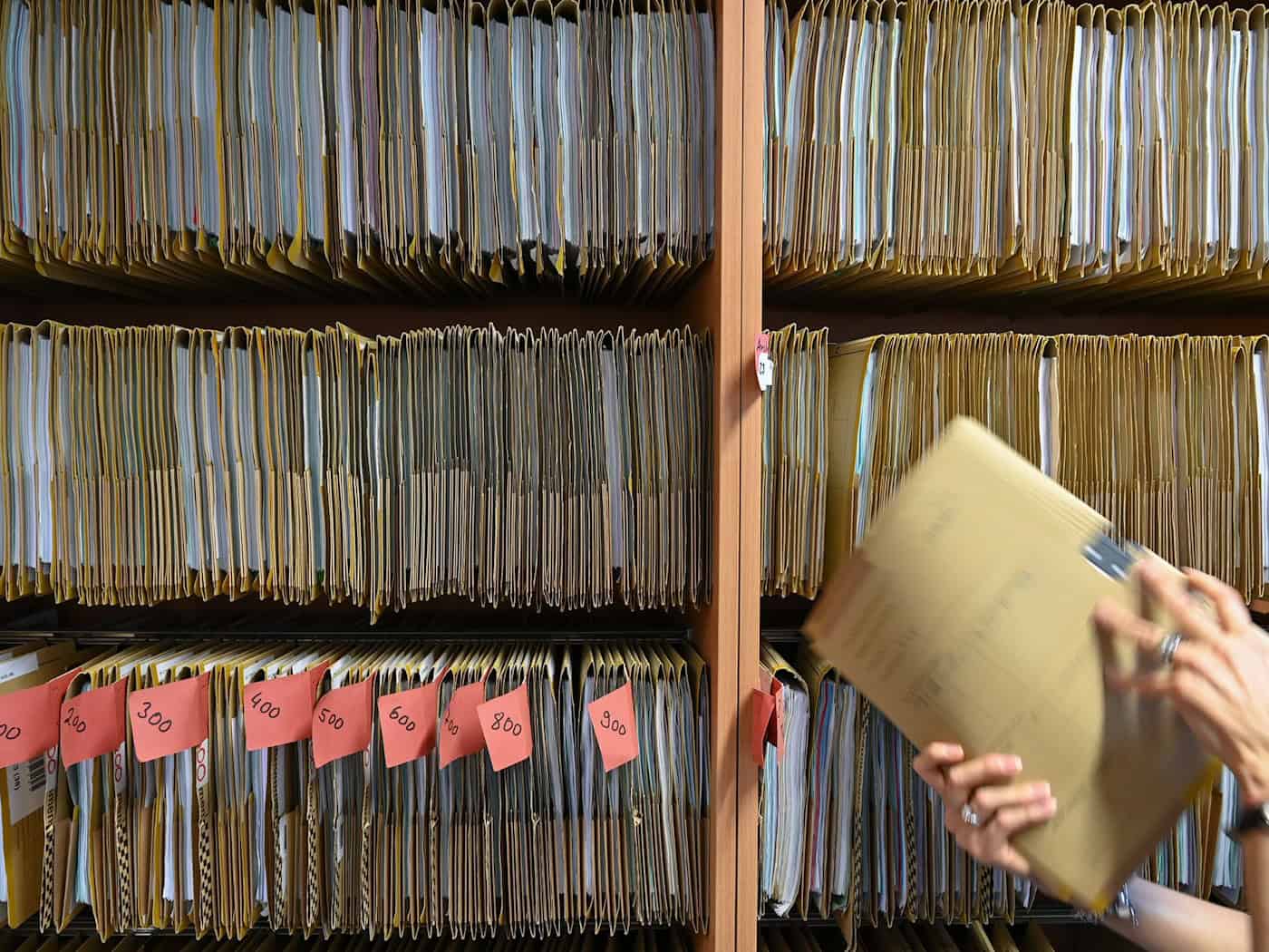 Neues Gesetz soll Bürokratiedschungel lichten