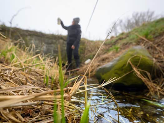 Demnitzer Mühlenfließ Study Area – here, scientists studied how water flows through the landscape and carries nitrate with it.