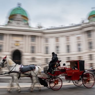 Pferde scheuten: Fiaker-Unfall mit Deutschen in Wien