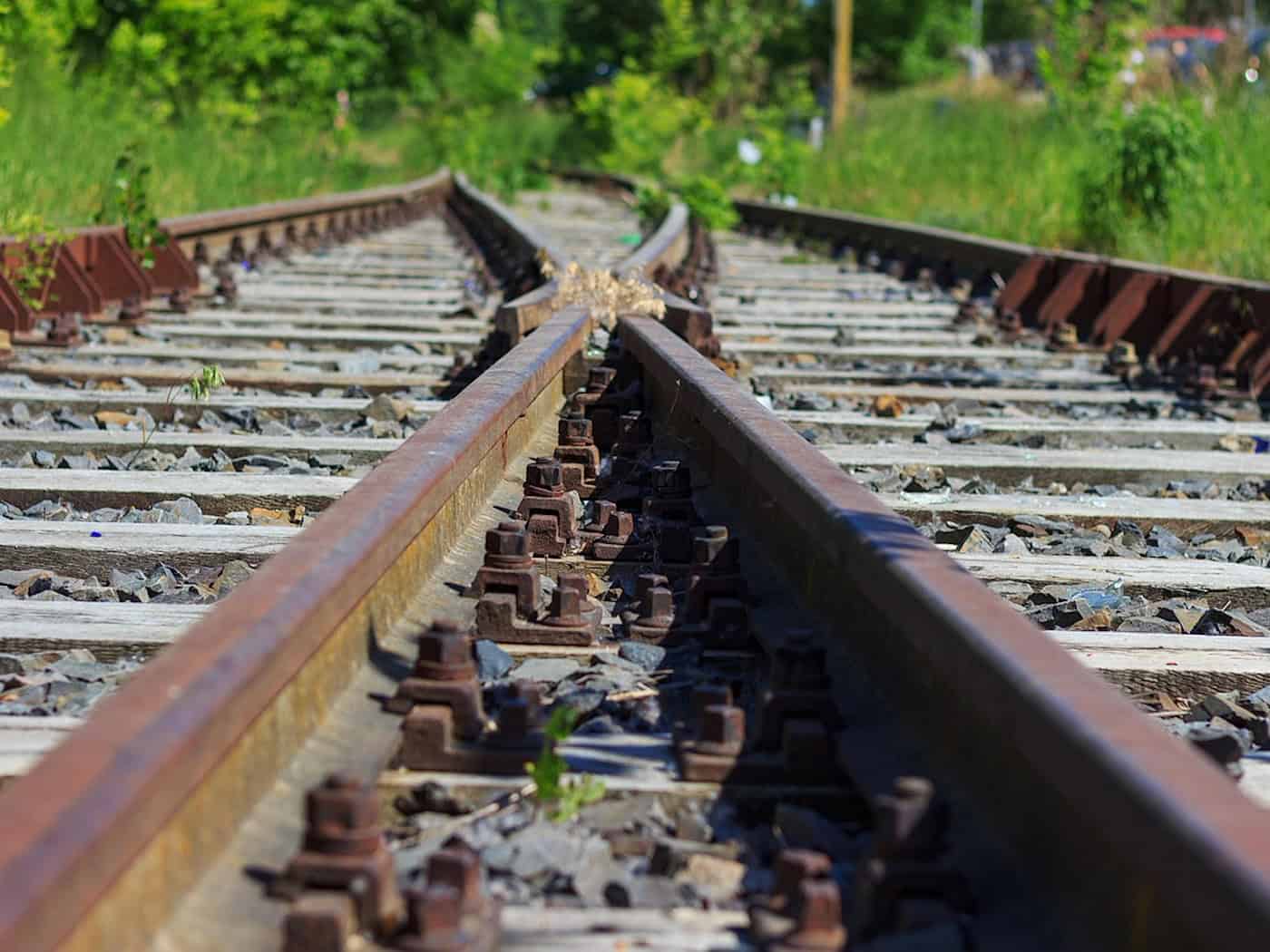 Bahnstrecke Radebeul–Coswig: Baumschnitt sorgt für Sperrungen