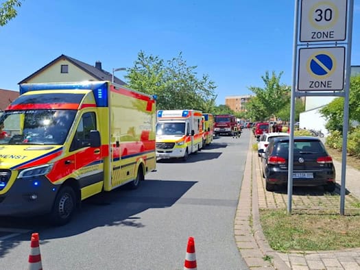 Eichenprozessionsspinner löst Alarm an Meißner Grundschule aus