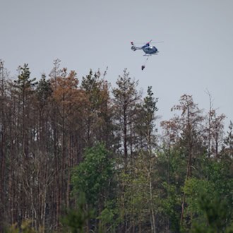 Regen lässt Waldbrandgefahr in Sachsen sinken