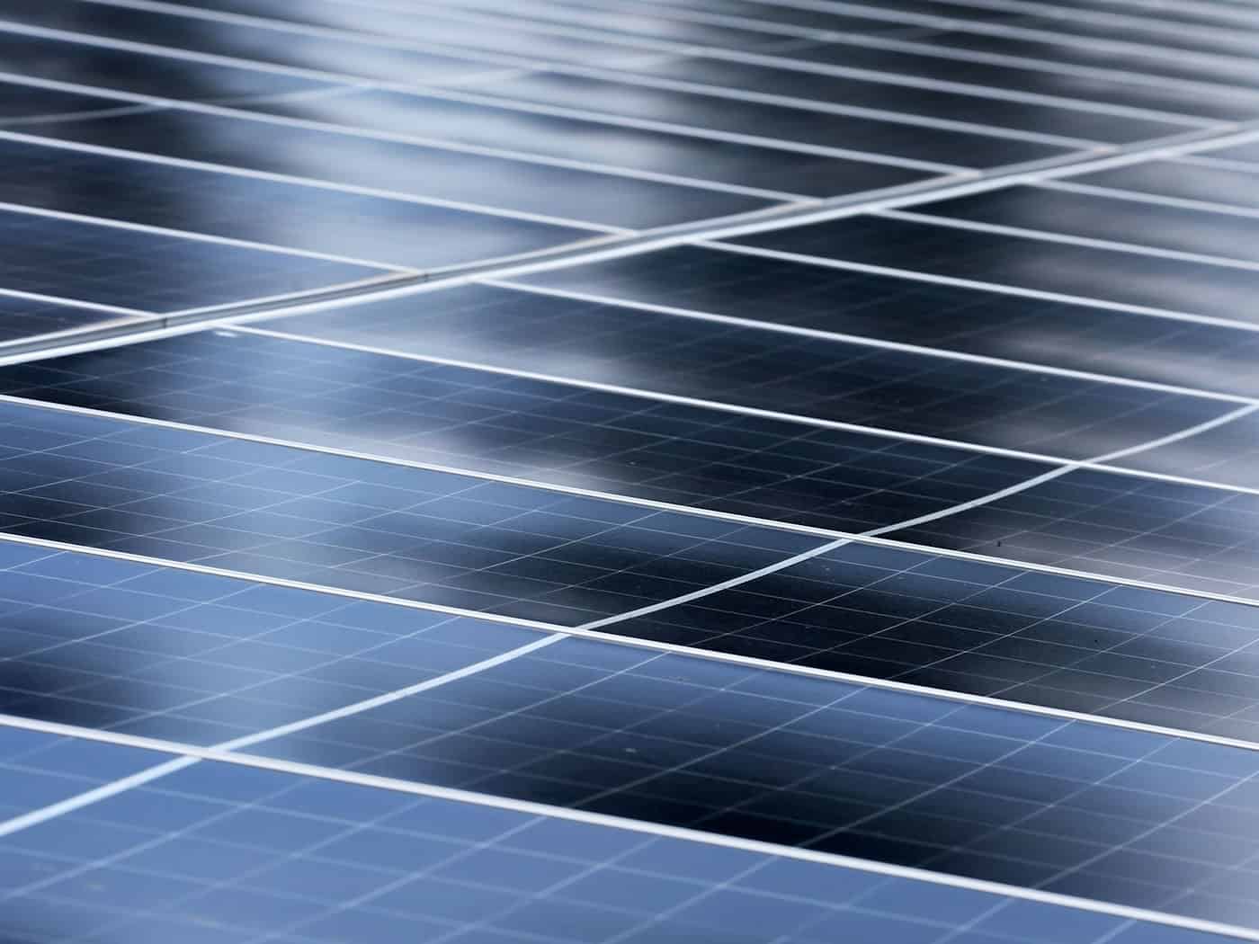 Sachsen will Photovoltaik-Anlagen im Wald stoppen