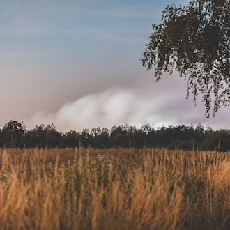 Starke Rauchentwicklung wegen Waldbrandes an Landesgrenze