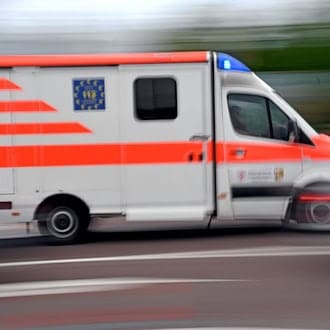 Umstürzender Baum fällt beim Gassigehen auf Mann