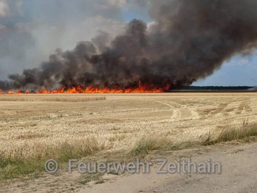 Großbrand in der Gohrischheide: 19 Hektar stehen in Flammen