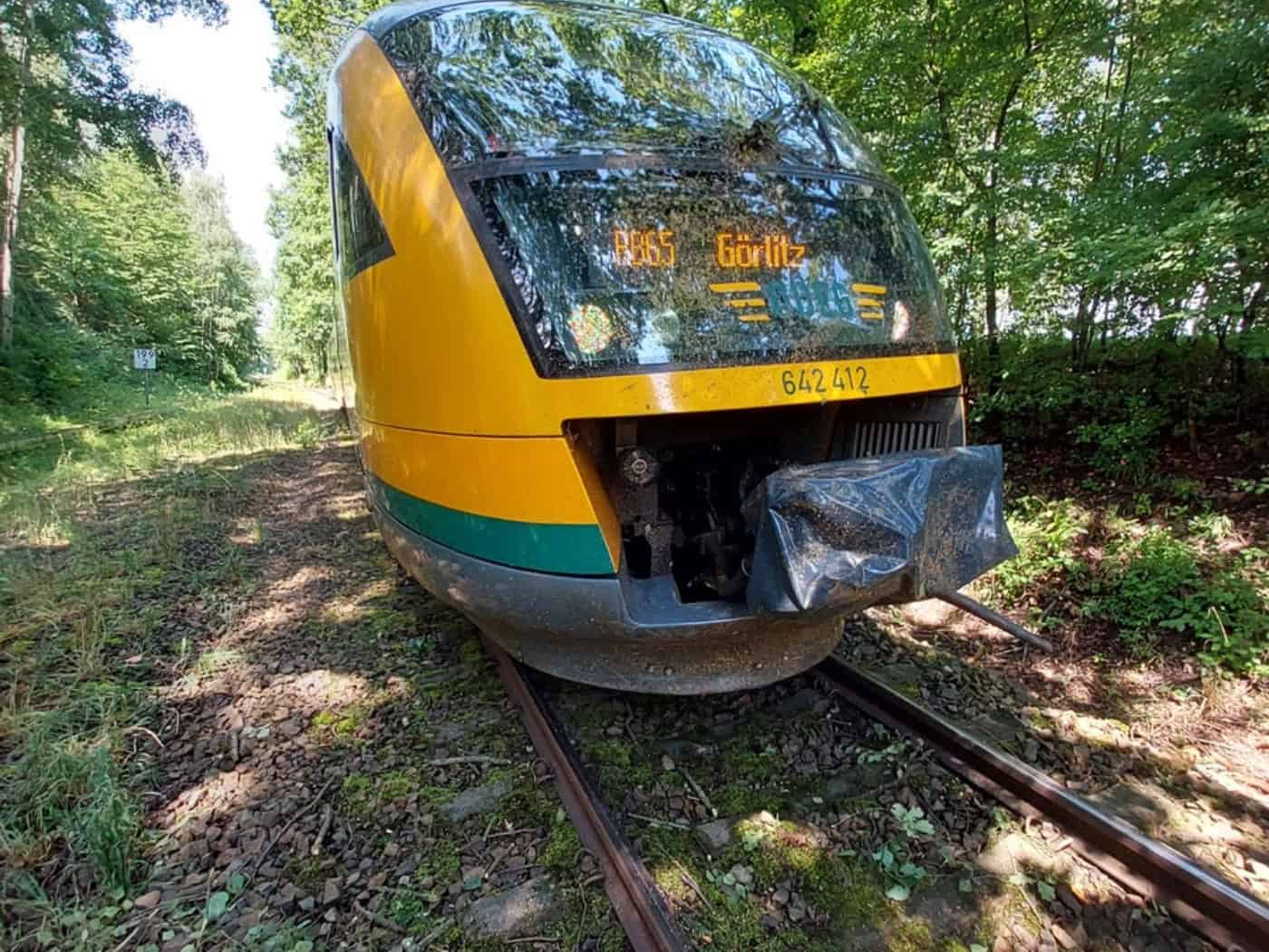 Regionalbahn kollidiert mit umgestürztem Baum