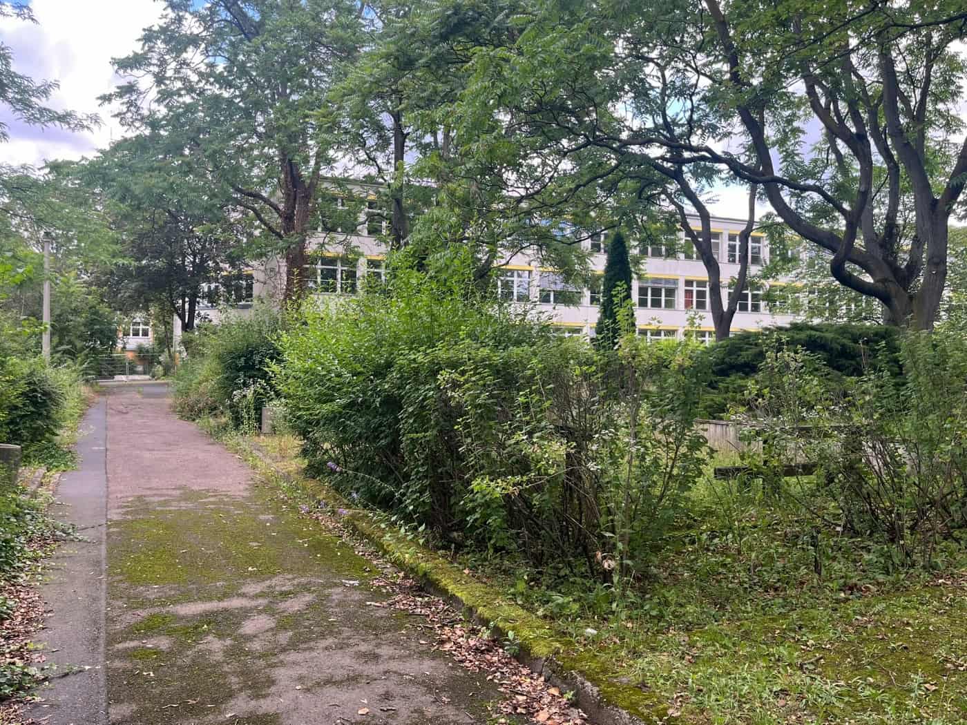 Ein grauer Plattenbau-Schulkomplex aus DDR-Zeiten mit gelb umrandeten Fenstern, der hinter dichten, teils unbepflanzten Sträuchern, Hecken und Bäumen steht. Im Vordergrund verläuft ein leicht bemooster Asphaltweg.