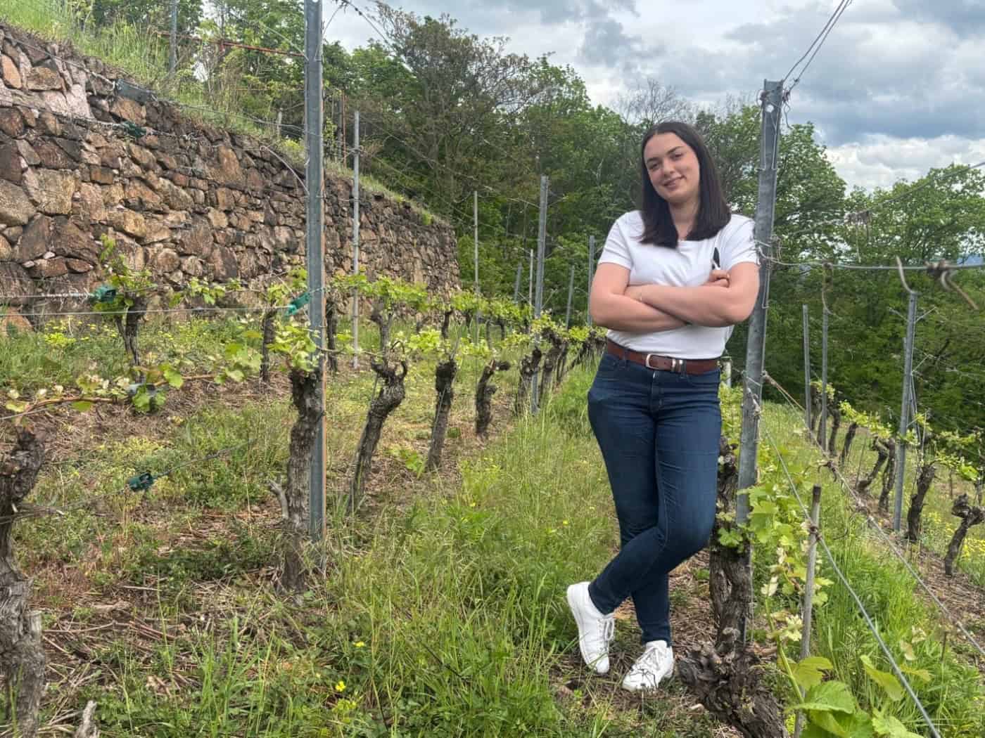 Foto: eine junge Frau in Jeans und T-Shirt steht lehnend an einem Gestell für Weinstöcke auf einem Weinberg und schaut in die Kamera