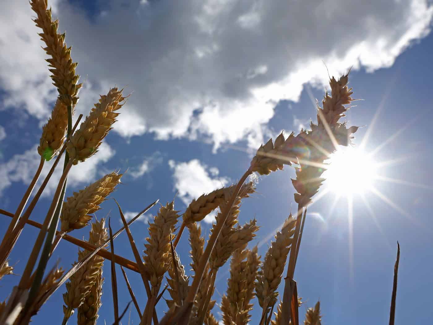Bis zu 30 Grad am Samstag – Sonntag bringt Wetterumschwung