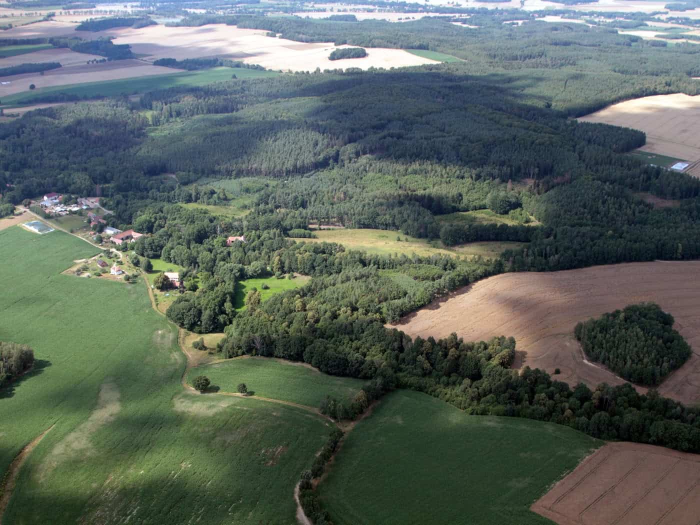 Wanderung durch den Wald bei Białogórze: Archäologie und Natur erleben