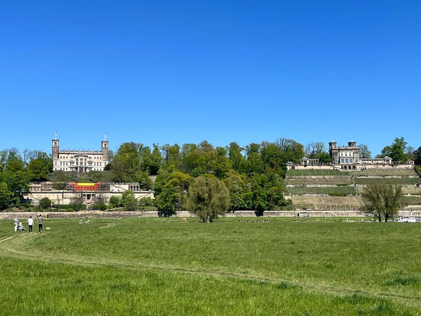 Weite, grüne Elbwiesen im Vordergrund, auf denen links Spaziergänger laufen. Dahinter erhebt sich ein dicht bewaldeter Hang mit zwei prachtvollen historischen Schlössern – Schloss Albrechtsberg links und das Lingnerschloss rechts – unter strahlend blauem Himmel.
