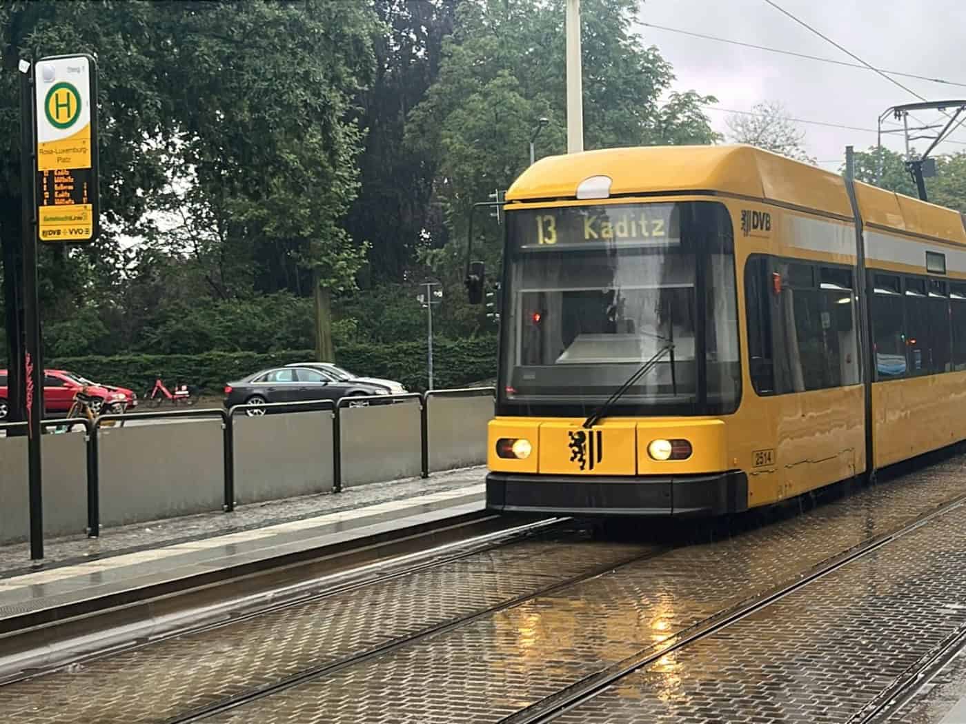 Eine gelbe Straßenbahn der Linie 13 mit dem Fahrtziel Kaditz fährt bei Regen an der Haltestelle Rosa-Luxemburg-Platz in Dresden vorbei. Die nassen Schienen auf dem gepflasterten Gleisbett spiegeln das Tageslicht.
