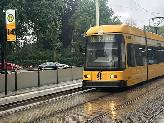 Eine gelbe Straßenbahn der Linie 13 mit dem Fahrtziel Kaditz fährt bei Regen an der Haltestelle Rosa-Luxemburg-Platz in Dresden vorbei. Die nassen Schienen auf dem gepflasterten Gleisbett spiegeln das Tageslicht.