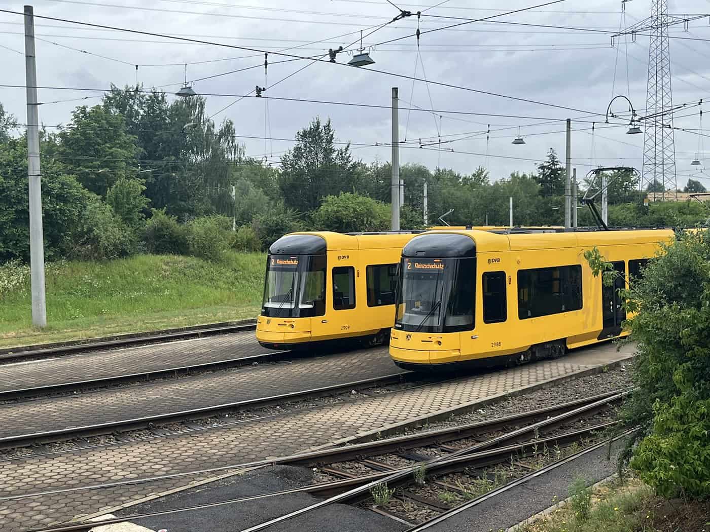 Zwei moderne gelbe Straßenbahnen der Dresdner Verkehrsbetriebe stehen nebeneinander auf einem gepflasterten Gleisbett vor einem bewaldeten Hintergrund mit einem großen Strommast.
