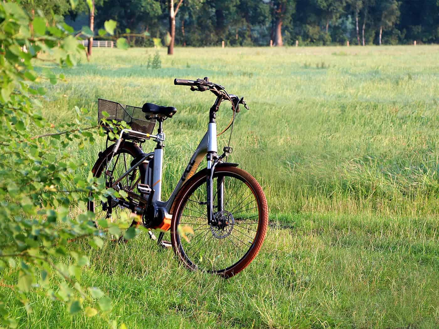 E-Bike in Reichenbach aus Nebengelass gestohlen