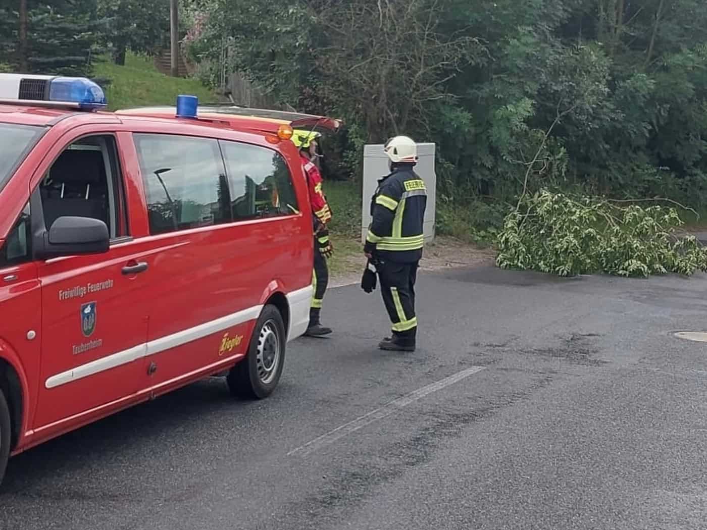 Baum stürzt um: Feuerwehr Taubenheim räumt Hauptstraße