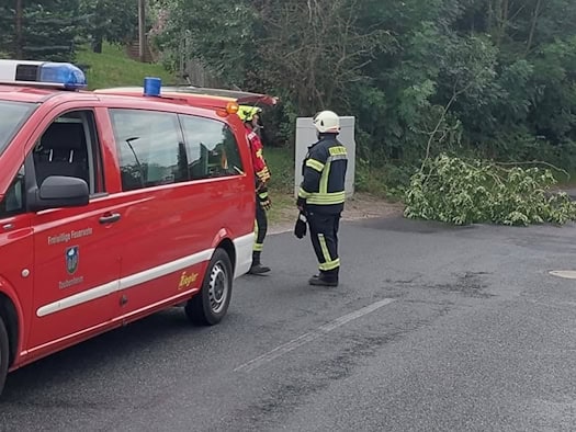 Baum stürzt um: Feuerwehr Taubenheim räumt Hauptstraße