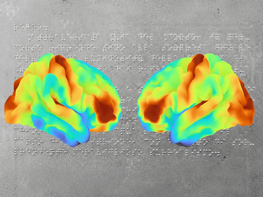 The researchers took a closer look at what happens in the brain when a person is blind.