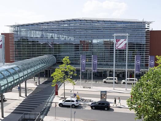 Hase bremst Flugverkehr in Dresden aus