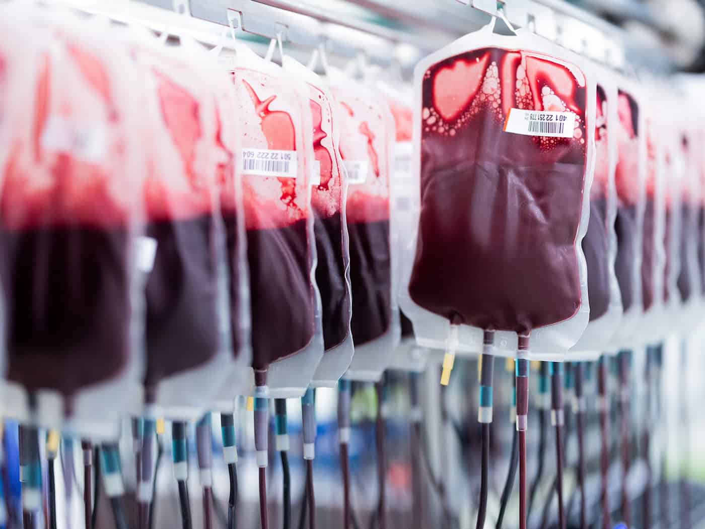 «Jeder Tropfen zählt» - Warum Blutspenden jetzt wichtig sind