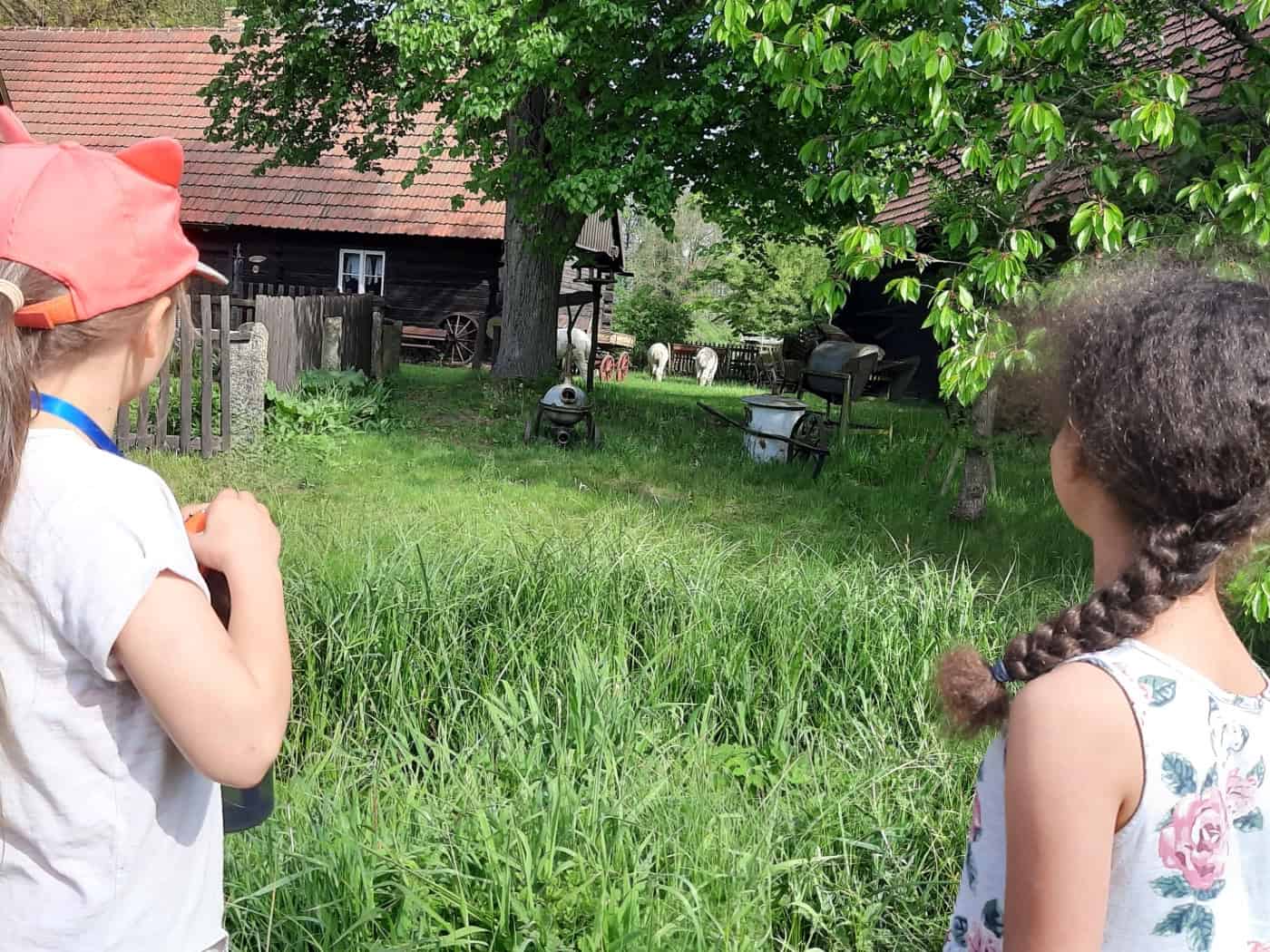 Erlichthofsiedlung in Rietschen: Sommerangebote für Familien