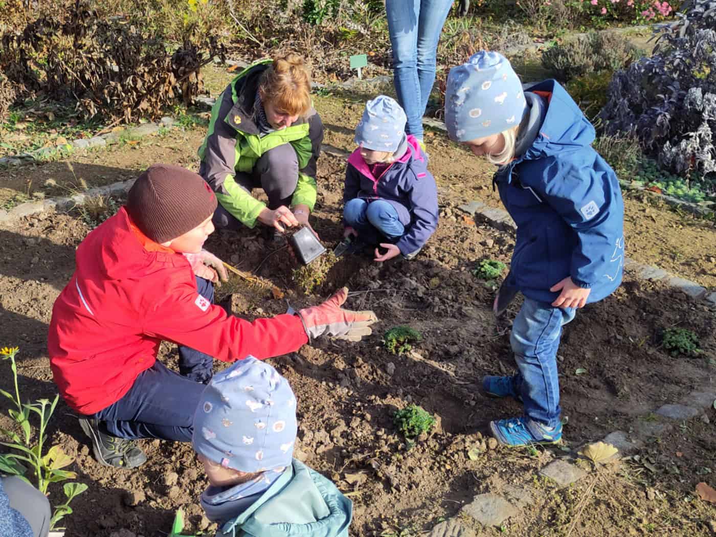 Vereinsarbeit im Kräutergarten