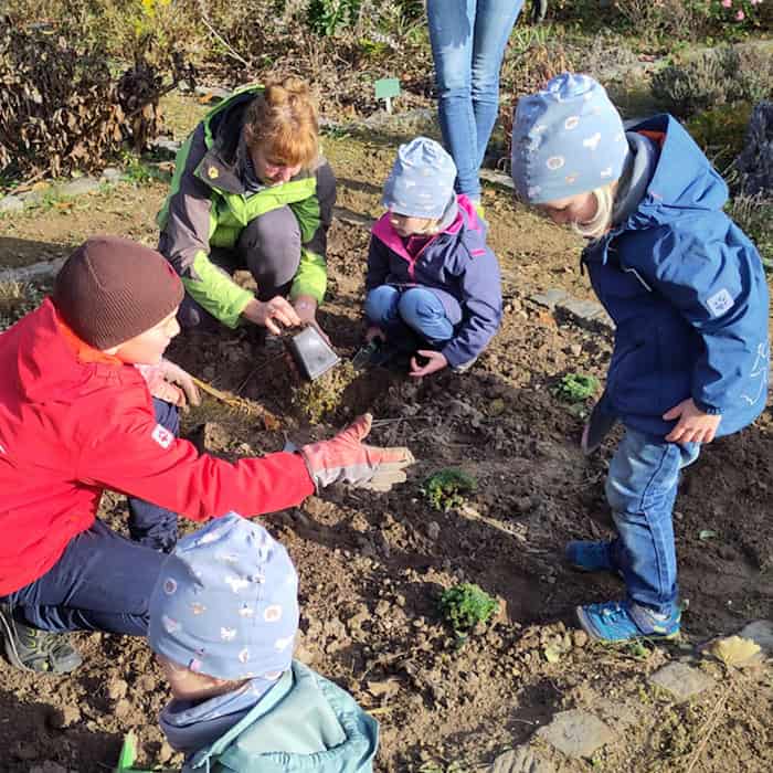 Vereinsarbeit im Kräutergarten