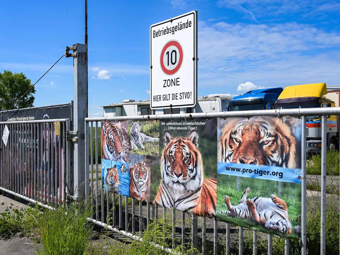Obduktionsergebnis: Helfer starb durch Tiger-Angriff