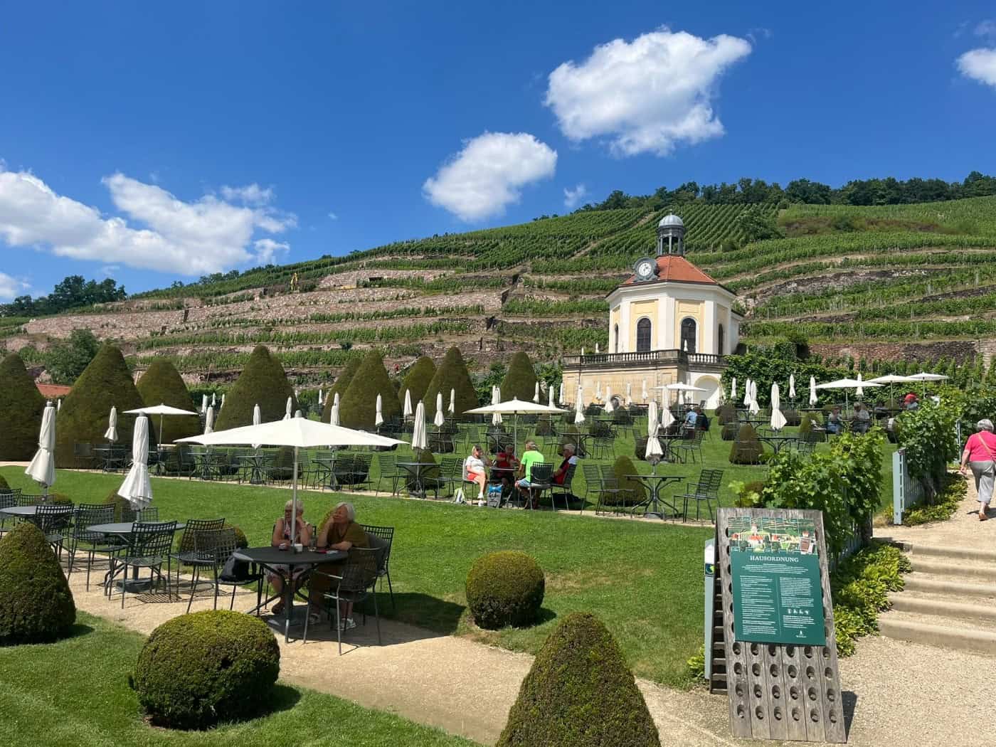 Blick auf das sonnige Staatsweingut Schloss Wackerbarth in Radebeul mit gepflegtem Garten, weißen Sonnenschirmen und den steilen, terrassierten Weinbergen mit historischen Trockenmauern im Hintergrund.