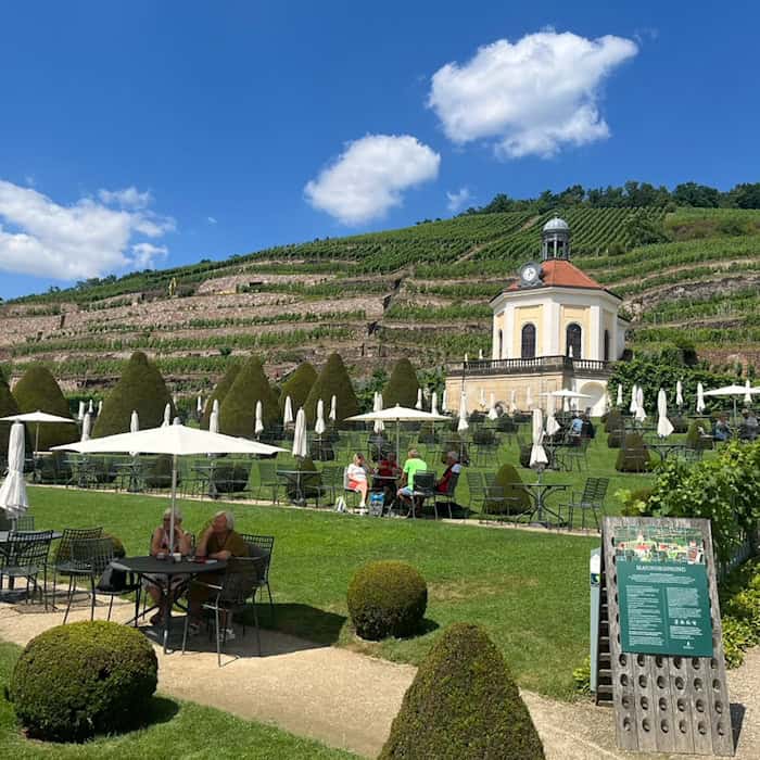 Blick auf das sonnige Staatsweingut Schloss Wackerbarth in Radebeul mit gepflegtem Garten, weißen Sonnenschirmen und den steilen, terrassierten Weinbergen mit historischen Trockenmauern im Hintergrund.