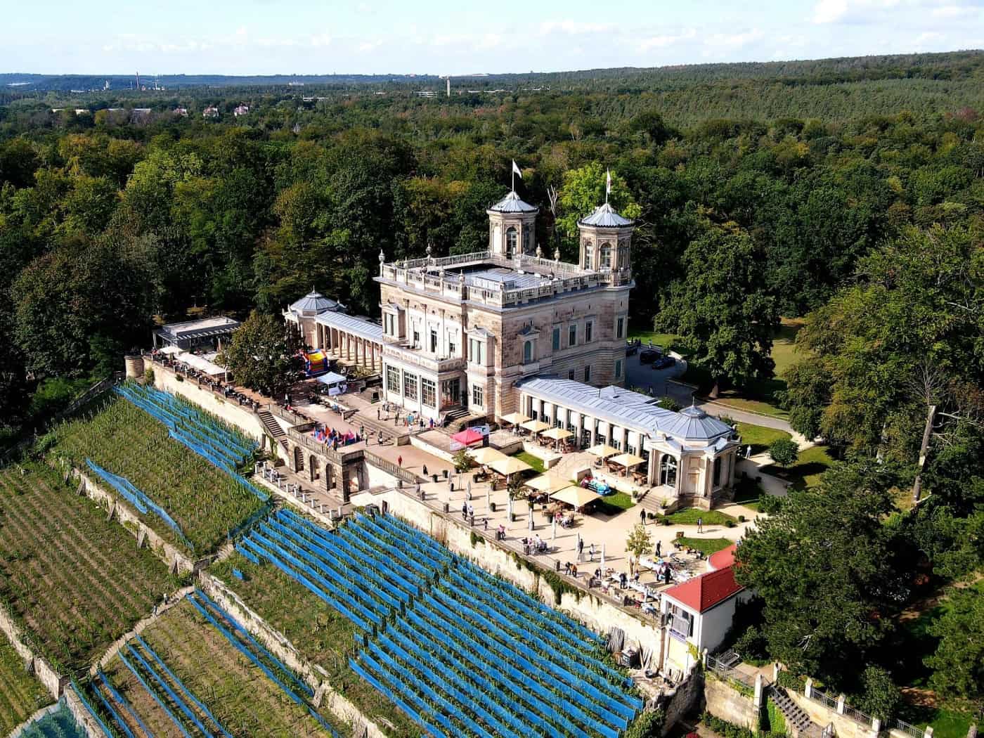 Eine Luftaufnahme des hellen Lingnerschlosses mit zwei markanten Türmen in Dresden. Unterhalb des Schlosses erstrecken sich terrassenförmige Weinberge an den Elbhängen, die teilweise mit blauen Netzen bedeckt sind. Das Gebäude ist umgeben von dichten grünen Wäldern.
