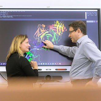 Gemeinsam gegen Viren: Clara Schoeder und Jens Meiler von der Universität Leipzig. 