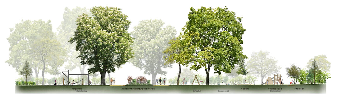 Visualisierung der geplanten Umgestaltung im Briesnitzer Park Dresden Eine grafische Entwurfsplanung zeigt im Längsschnitt die zukünftige Gestaltung des Parks mit großen grünen Bäumen, Fitness- und Spielgeräten sowie Silhouetten von Menschen auf weißem Hintergrund.
