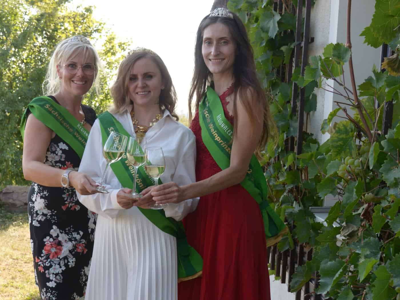 Sieben Bewerber treten zur Wahl der Sächsischen Weinhoheiten an