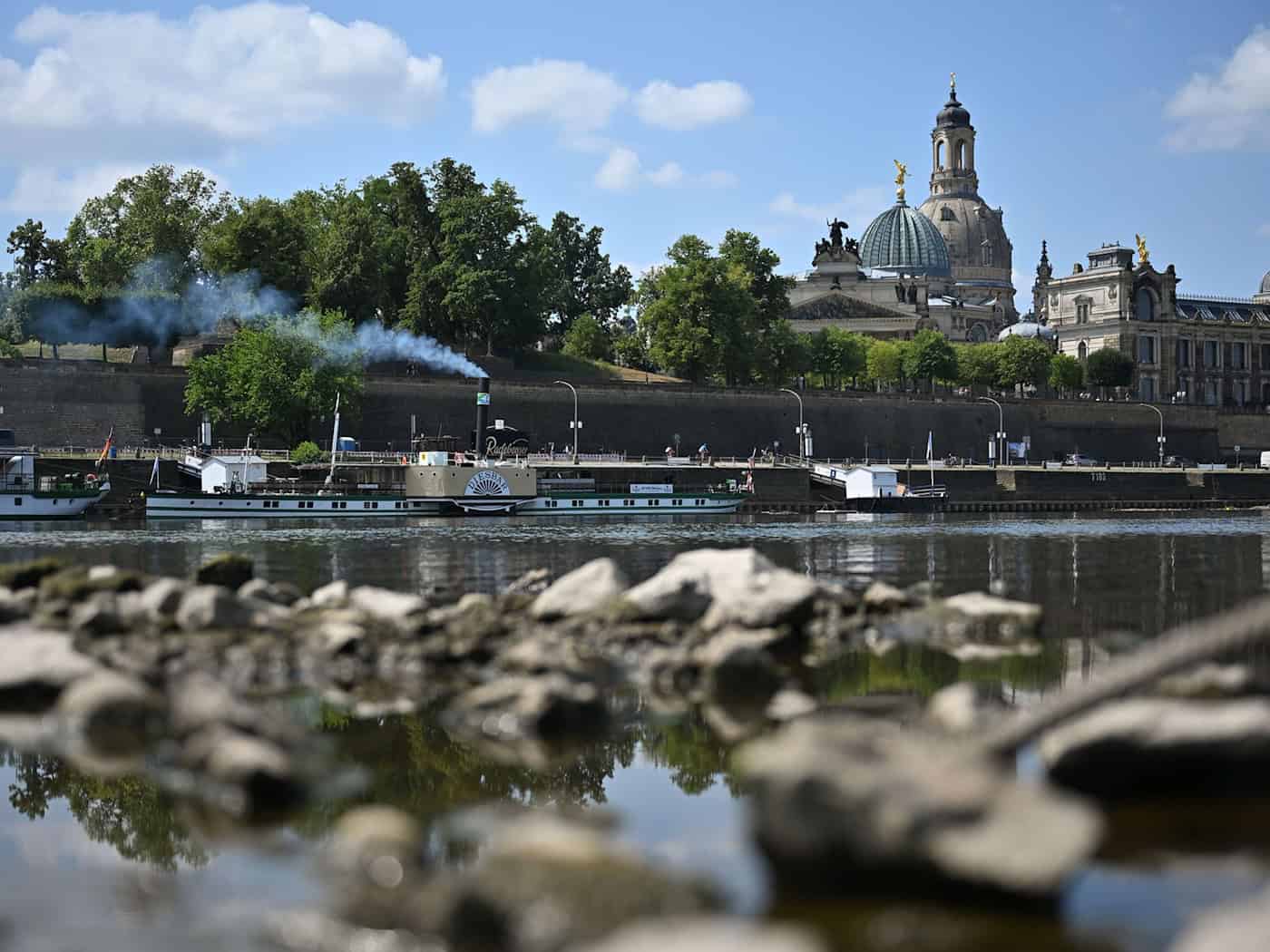 Weiße Flotte Now Operates Only One Route in Dresden