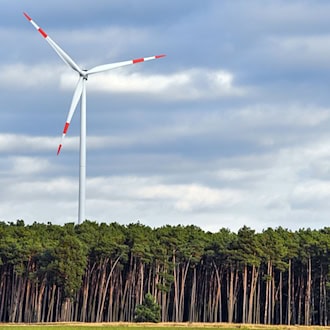 Weiterer Gegenwind für Windkraft im Wald