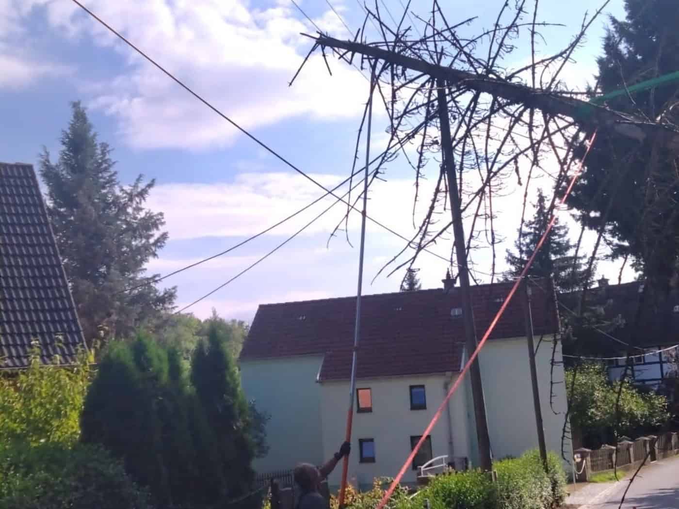 Robschütz: Baum hängt in Stromleitung