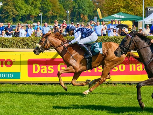 Partyrenntag: Galopprennen im Scheibenholz Leipzig mit zwei Jockeys auf der Zielgeraden vor Publikum