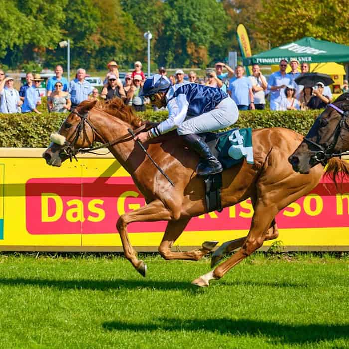 Partyrenntag: Galopprennen im Scheibenholz Leipzig mit zwei Jockeys auf der Zielgeraden vor Publikum