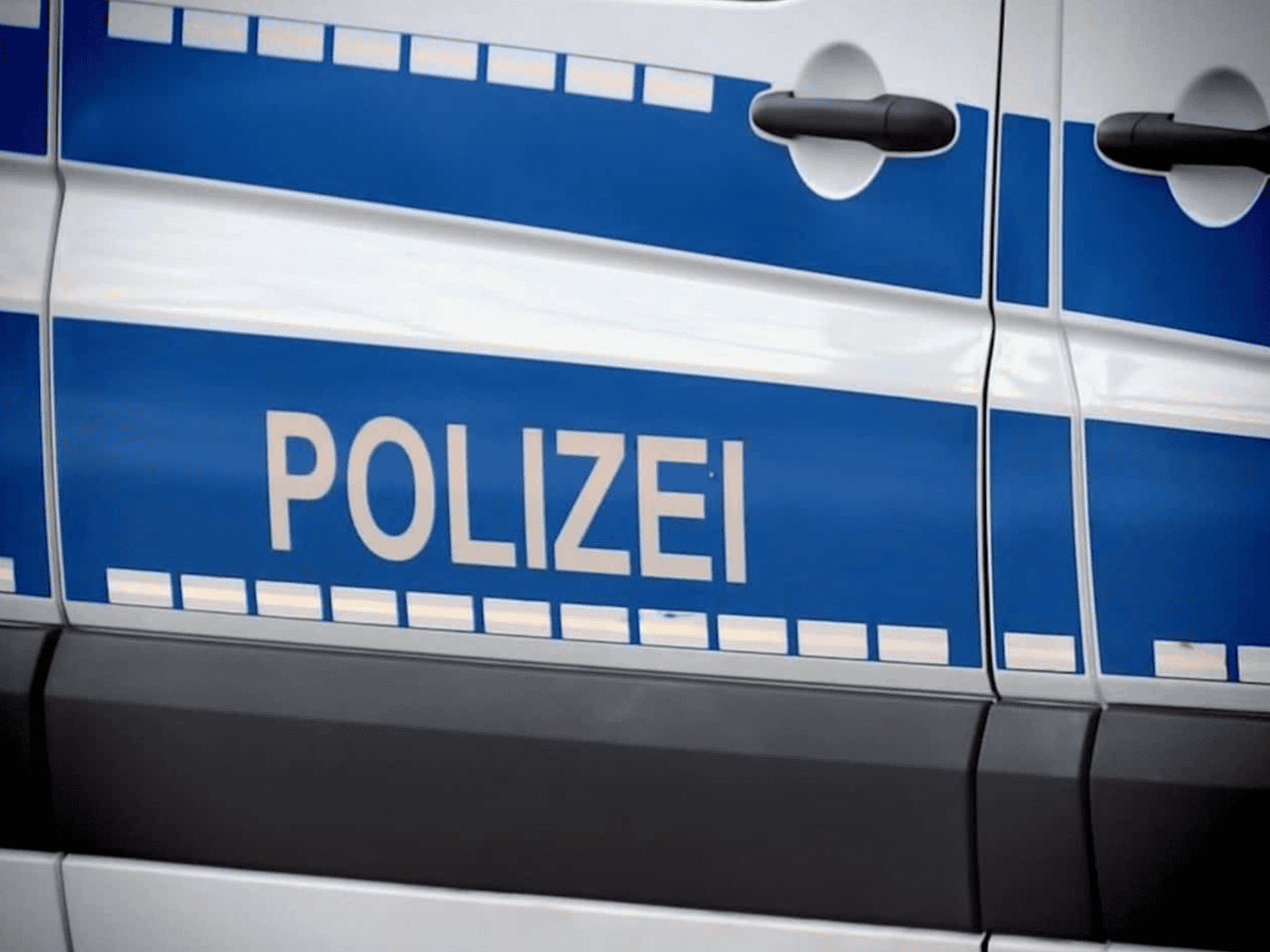 Seat kollidiert in Bad Muskau mit umgestürztem Baum