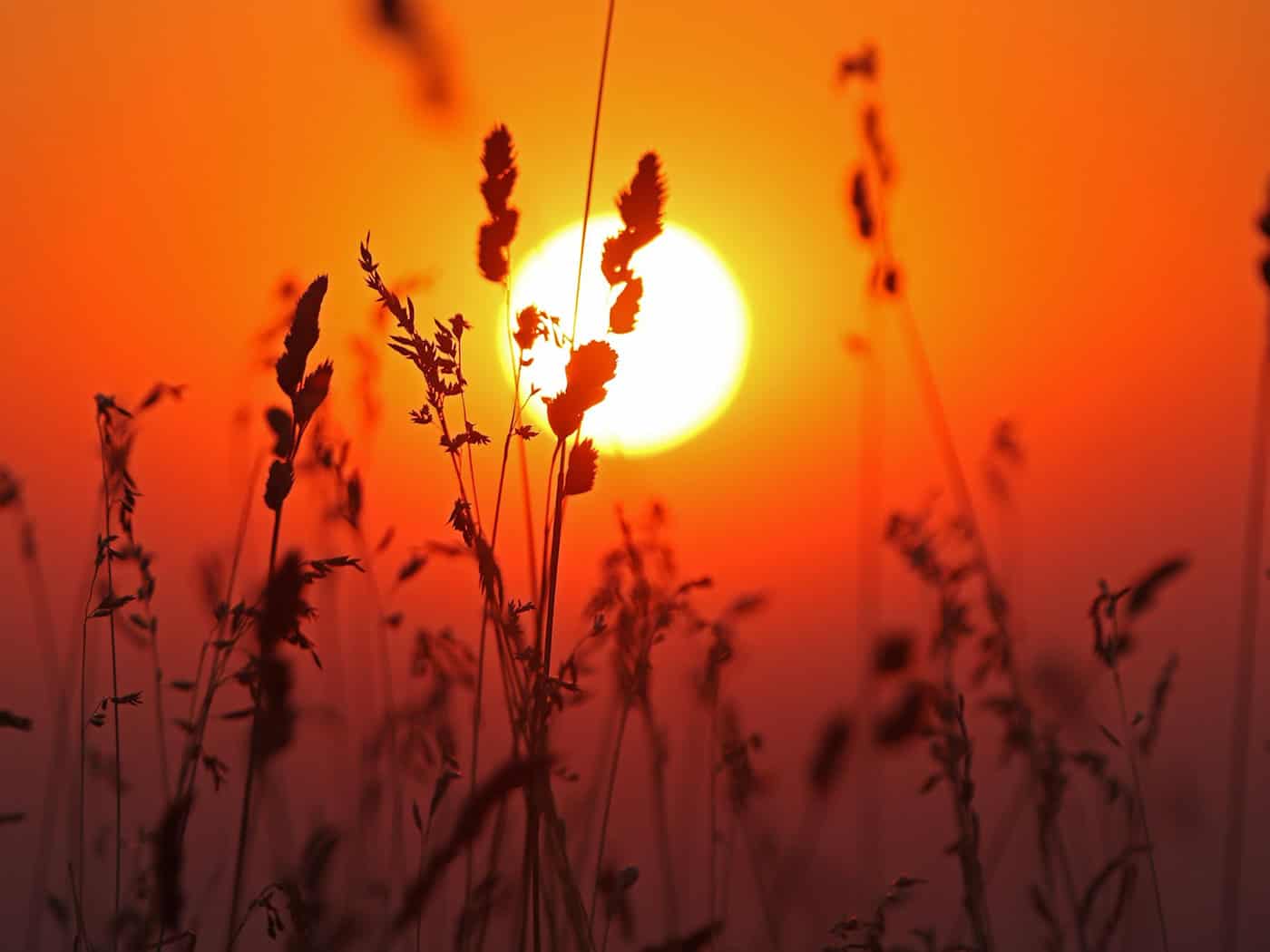 Bis zu 36 Grad und Unwetter: Wetterdienst warnt vor Hitze
