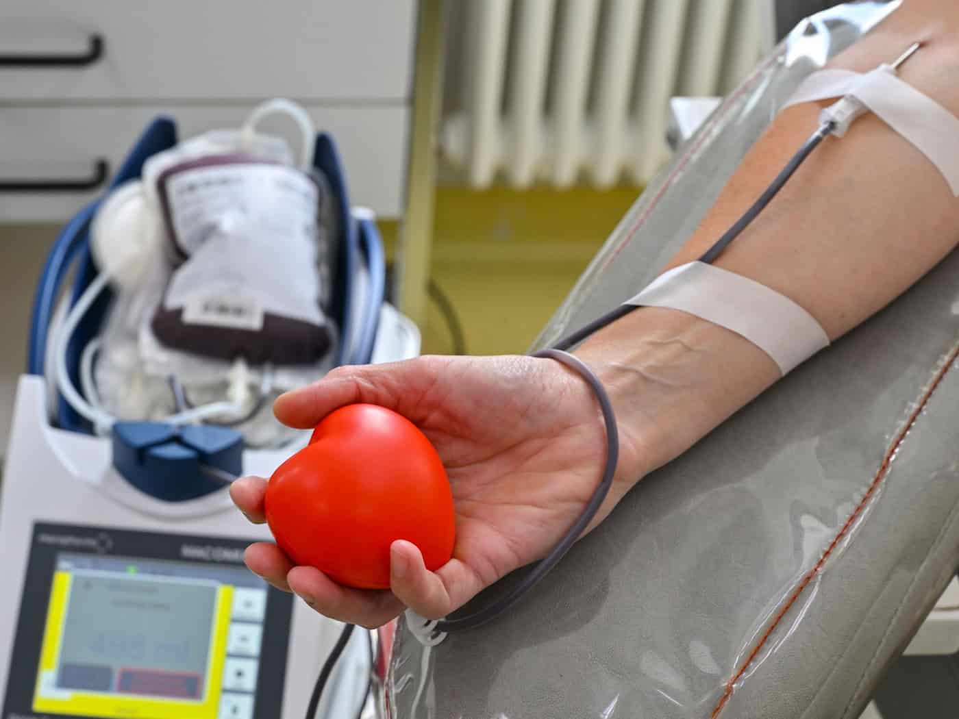 Las reservas de sangre disminuyen: la Cruz Roja Alemana hace un llamamiento a los habitantes de Sajonia para que donen sangre
