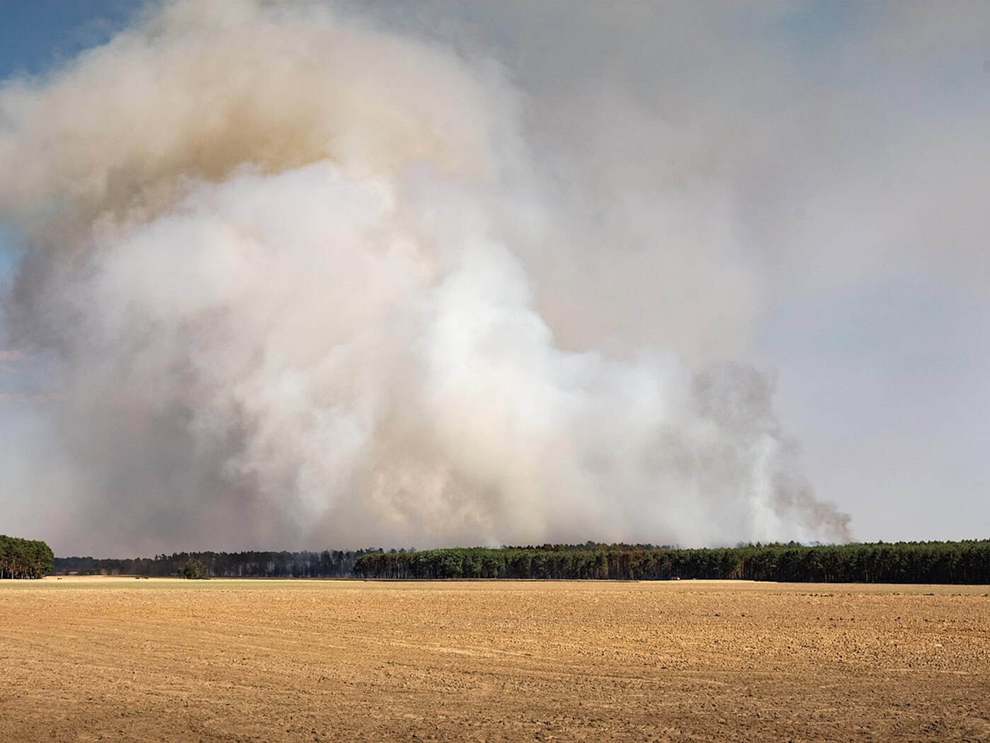 Meißen verschärft Regeln bei Waldbrandgefahr