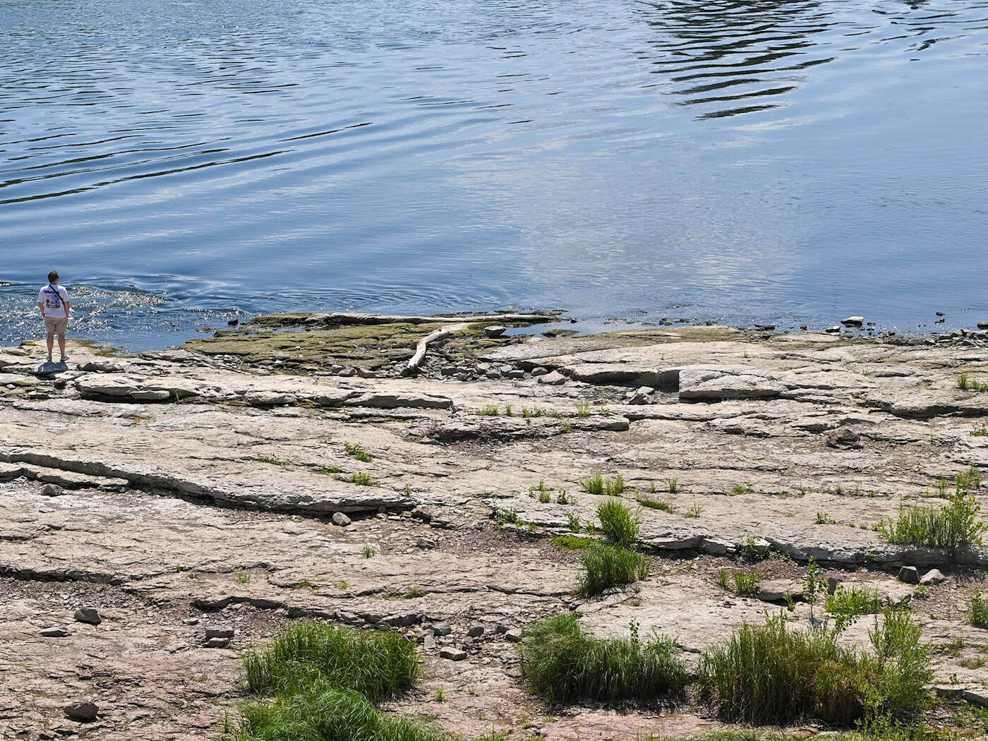 „Labe je diva“ – Co je třeba udělat teď