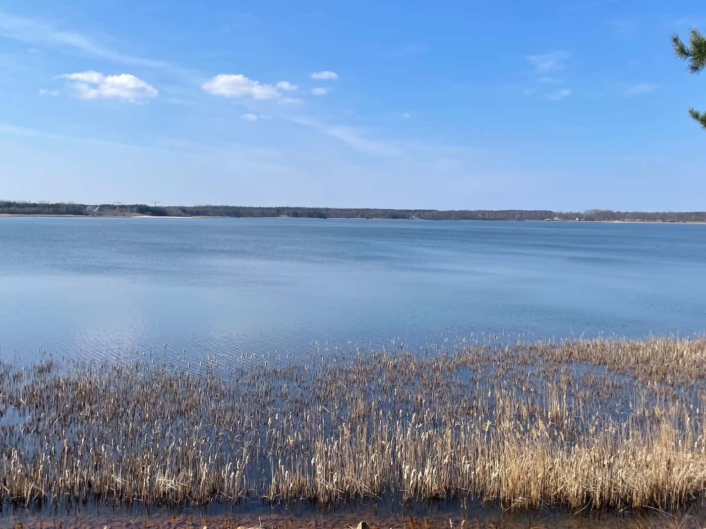 Bootsunglück auf dem Dreiweiberner See: 74-jähriger Angler tot gefunden