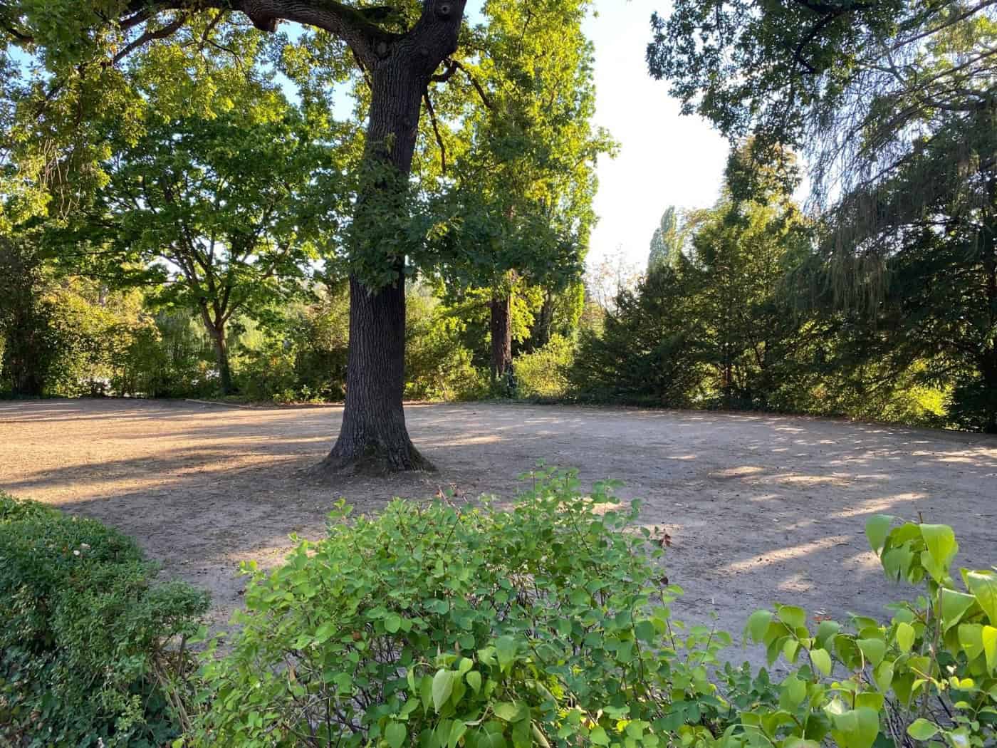 Eine unbefestigte, sandige Freifläche im Dorfanger Altstrehlen, umgeben von schattenspendenden Laub- und Nadelbäumen. Im Vordergrund sind grüne Gebüsche zu sehen.