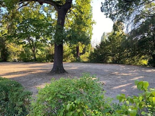 Eine unbefestigte, sandige Freifläche im Dorfanger Altstrehlen, umgeben von schattenspendenden Laub- und Nadelbäumen. Im Vordergrund sind grüne Gebüsche zu sehen.