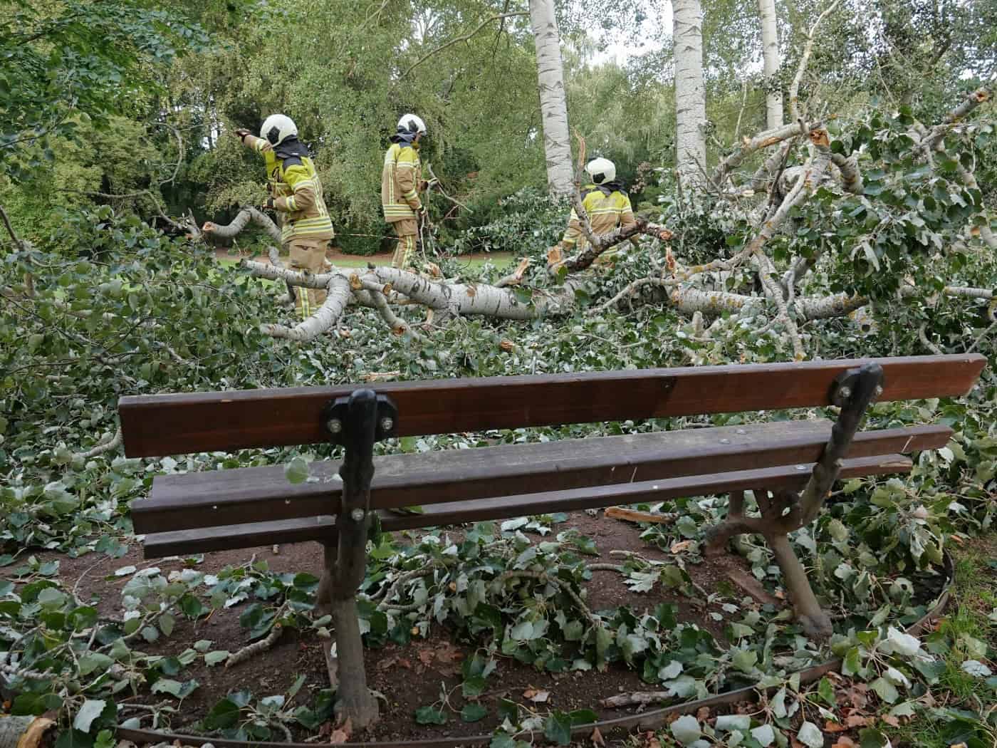 Ein massiver Baumstamm liegt quer über einem Parkweg und einer Holzbank im Dresdner Blüherpark. Drei Feuerwehrleute in gelber Schutzkleidung und Helmen arbeiten im dichten Geäst und Laub, um den Weg freizuräumen.
